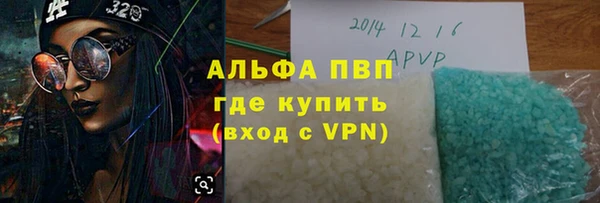 прущие грибы Аркадак