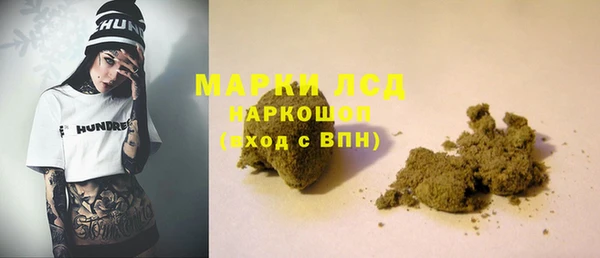 прущие грибы Аркадак