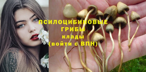 стафф Арсеньев